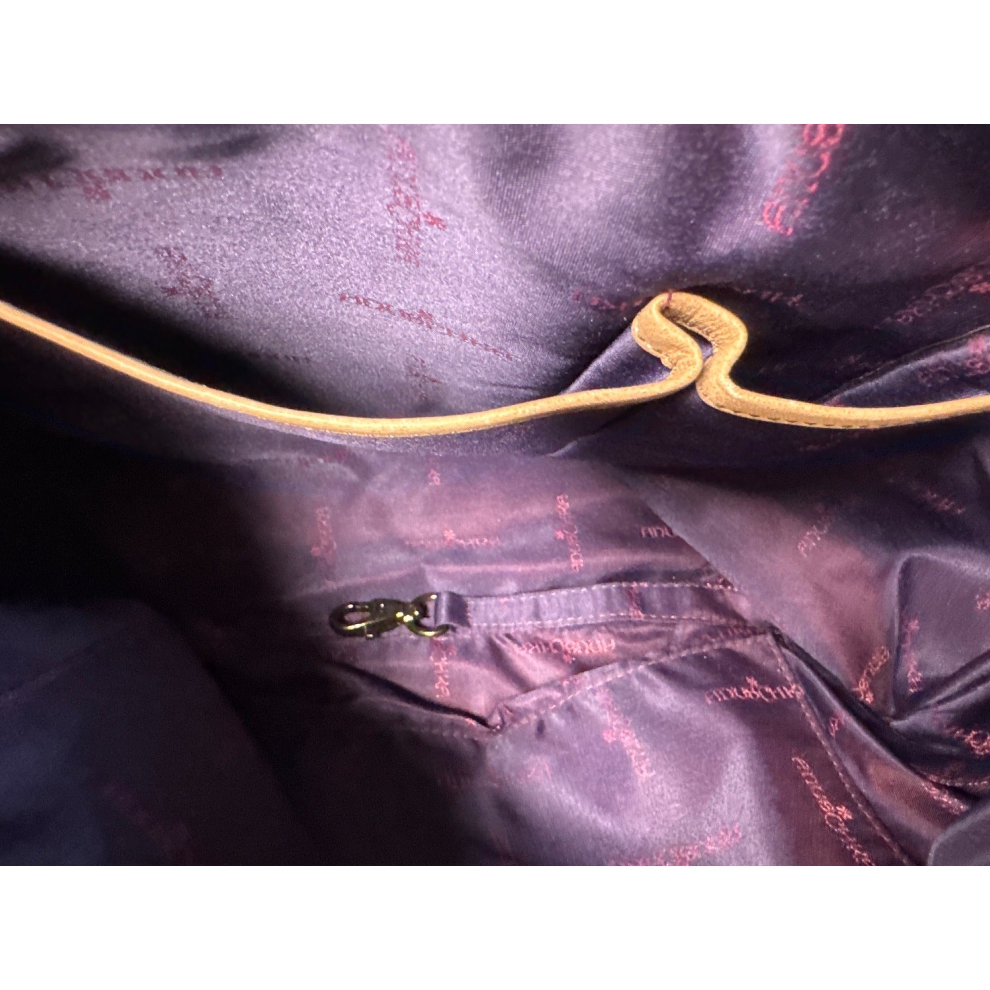 Anushka Hand-Painted Leather Hobo Bag With Adjustable Strap & Bird Design