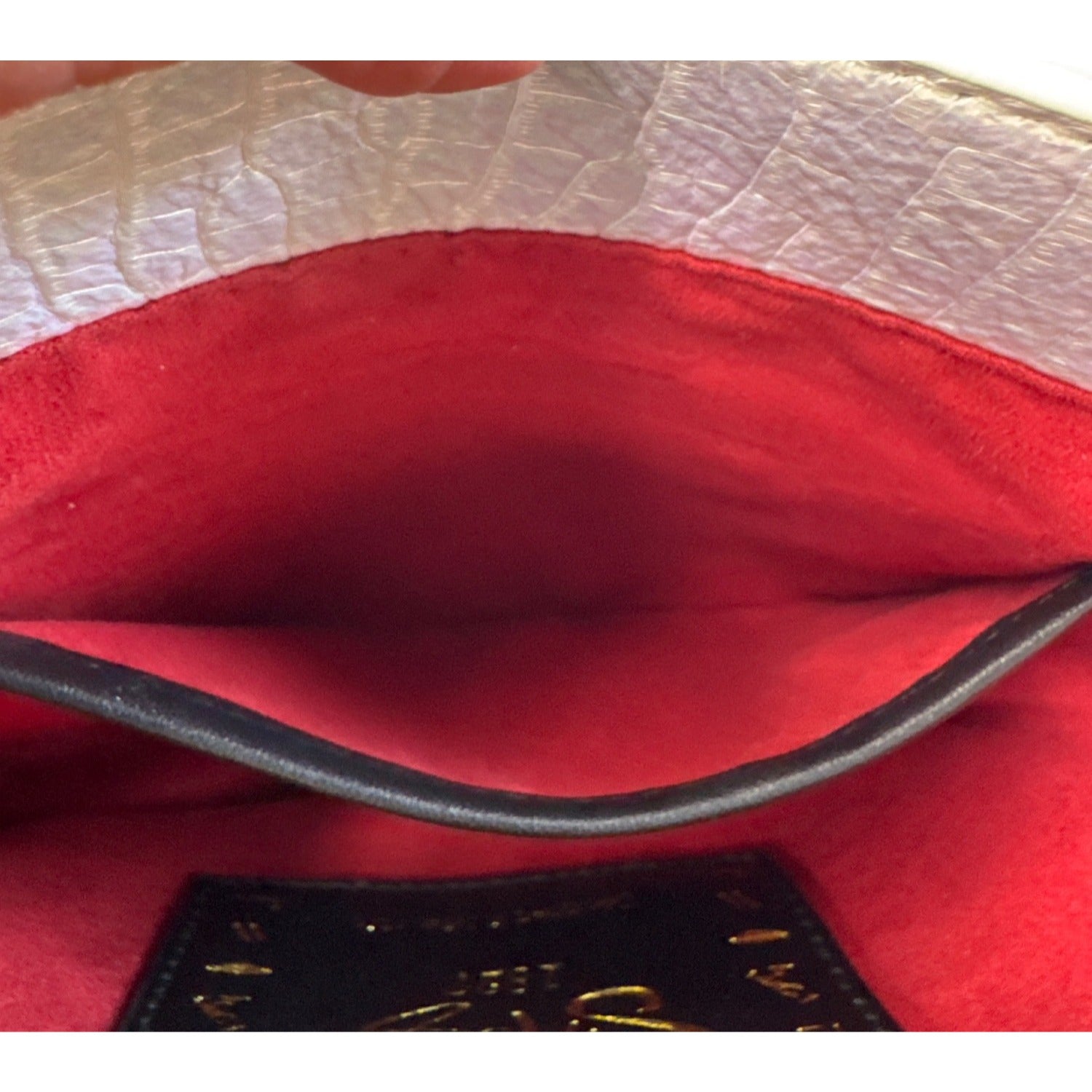 Sharif Iridescent Croc-Embossed Crossbody Bag With Gold Hardware & Red Interior